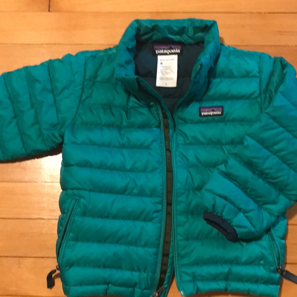 Patagonia down sweater 3T